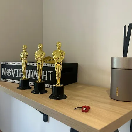 Apartment Le Studio Cinema Avec Clim Et Parking Gratuit